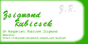 zsigmond rubicsek business card